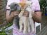 Thumbnail No 4 of Monica