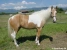 Winnetou