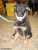 Maximilian Picture No 3