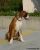 Bouba Picture No 3