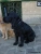 Bob Picture No 2