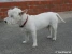 Lord William Picture No 4