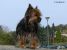 Thumbnail No 2 of Jagger