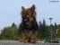 Thumbnail No 3 of Jagger