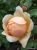 Thumbnail No 4 of Yellow Dream
