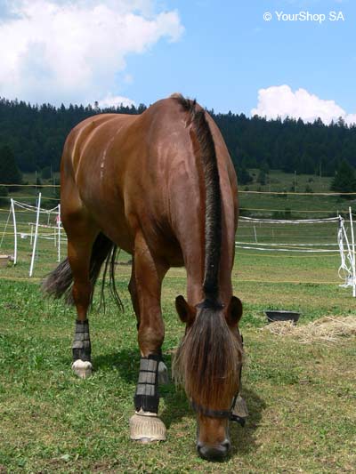 Picture No 4 of Kali Picture No 4 of Kali