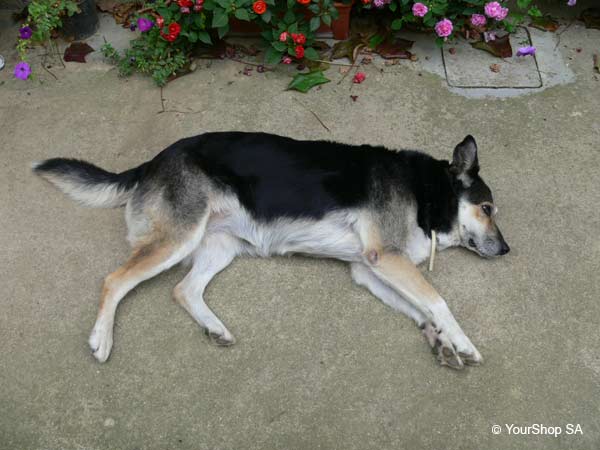 Picture No 2 of Rita Picture No 2 of Rita
