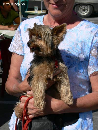 Bild No 2 von Sushi Bild No 2 von Sushi