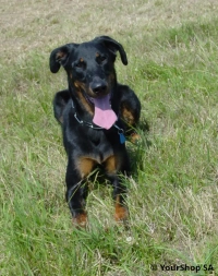 Bella