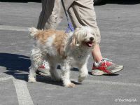Charlie