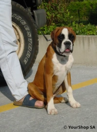 Bouba