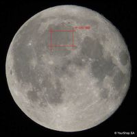 Royal Moon